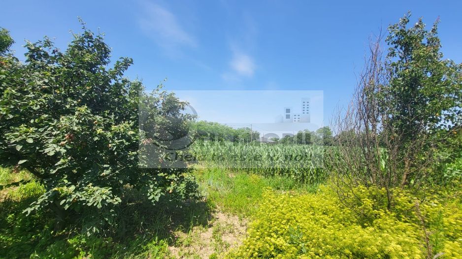 Casă individuala 4000mp teren com Alexandru Ioan Cuza sat Kogalniceni - Poză 4