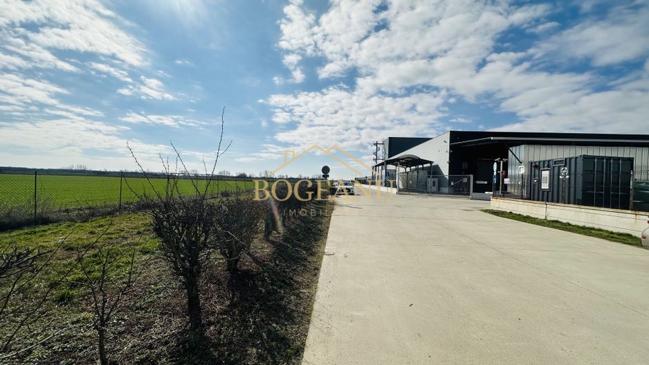 BG141-Teren-46.400 mp-Front 300 ml acces TIR | INCONTRO-Calea Sagului - Poză 3