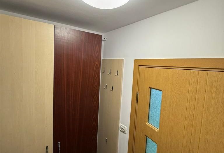 1 camera amenajata zona Badea Cartan la 10min de Medicina - Poză 5