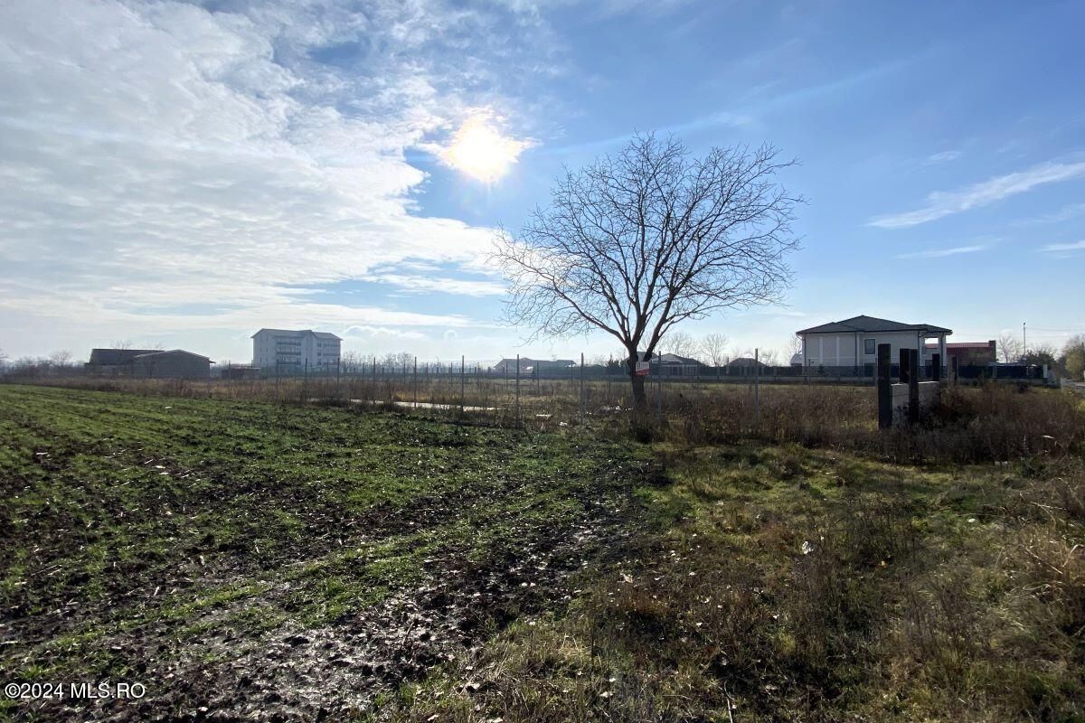 Afumati - Str. Iasomiei, 2409 MP, stradal, intravilan, deschidere 12 m - Poză 12