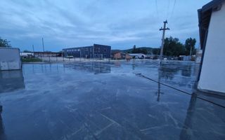 Hale / Depozite / Spații Producție de Închiriat în Tomesști, Iași - Poză 1