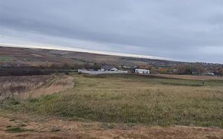 Teren Cetariu 9900 mp - Poză 1