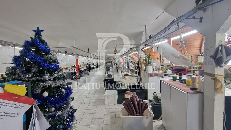 14.302 MP TEREN | 4.925 MP CONSTRUIT | PUTERE ELECTRICĂ EXCEPȚIONALĂ | FĂRĂ SARCINI - Poză 19