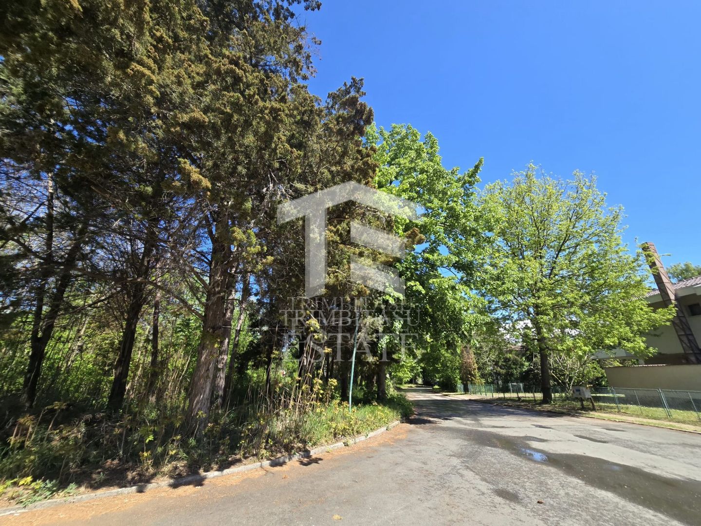 🏖 Teren de vanzare in Neptun – O oportunitate rara de investitie. - Poză 19