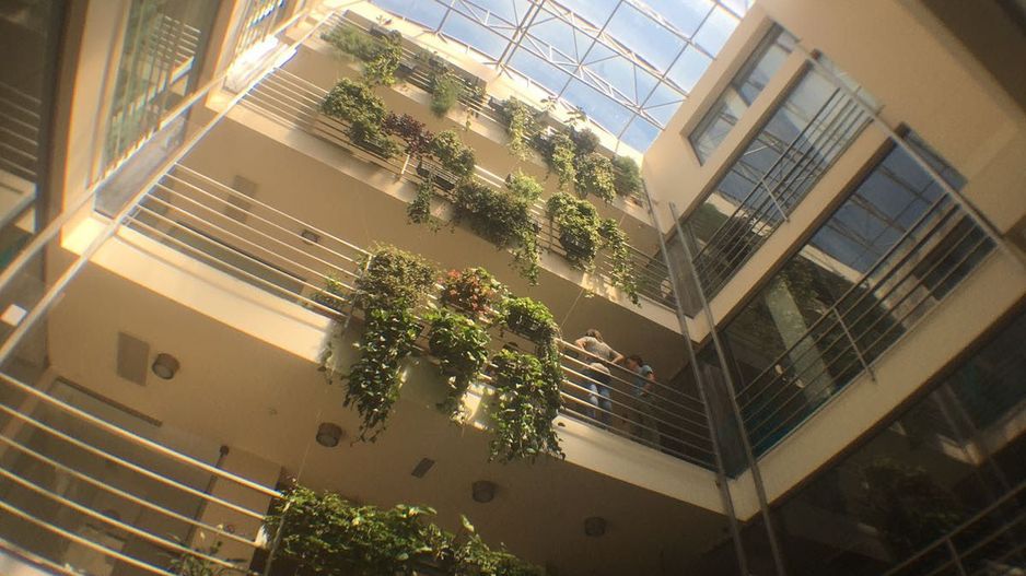 Cladire ultramoderna de birouri I 1.350mp I Ultracentral I COMISION 0% - Poză 37