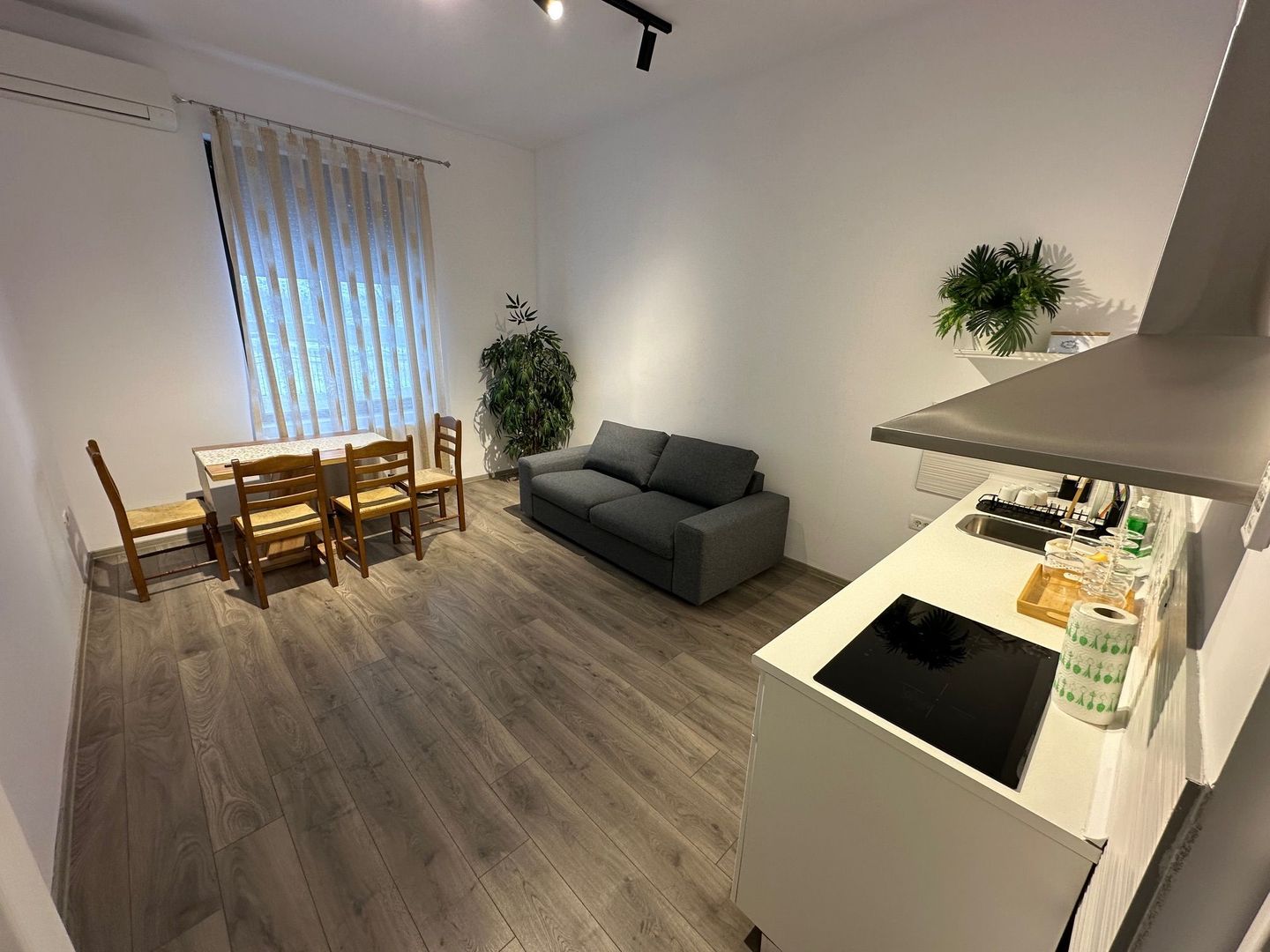 Casa Lipovei transformata in SAD - Poză 4