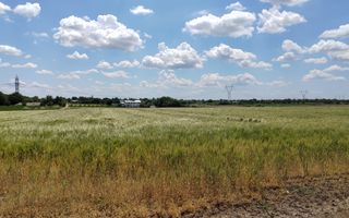 Frumusani Postavari 30 minute de Aparatorii Patriei super oferta 7 eur - Poză 2