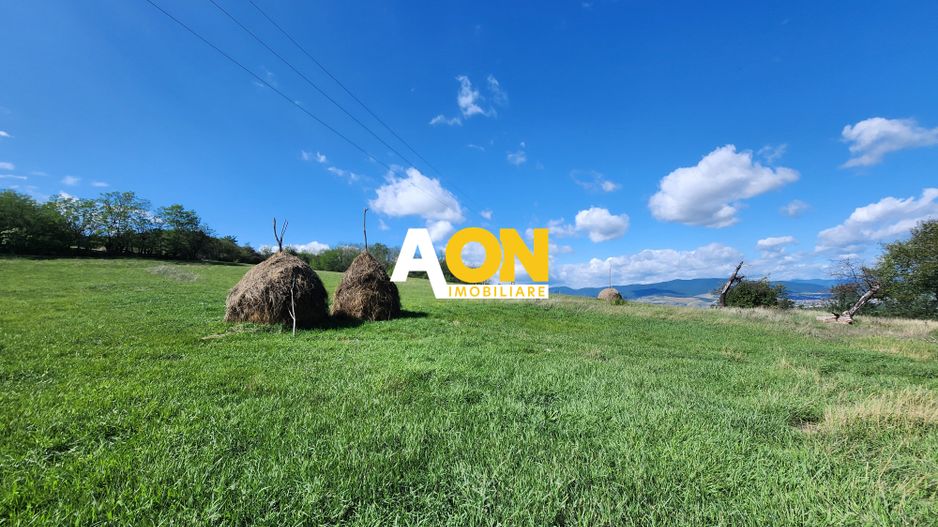 De vanzare 2965 mp teren intravilan, toate utilitatile, Oarda de Sus - Poză 5