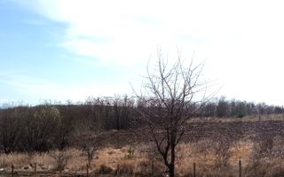 Teren intravilan | 933 mp | Cabana de lemn | Sura Mare - Poză 4