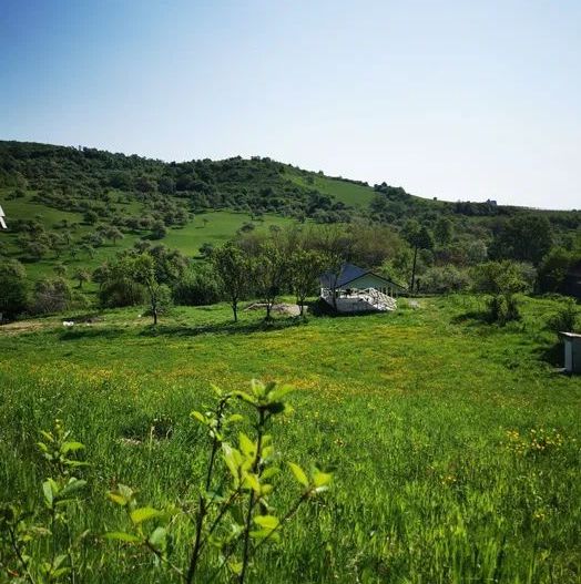 Teren cu cabane A-Frame și priveliște către Munții Făgăraș - Poză 2