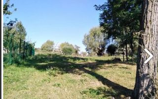 TEREN INTRAVILAN 5000 MP, BRADULET, ARGES - Poză 3