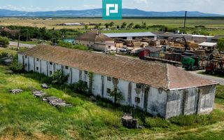 Hală industrială cu teren generos în Zărand, Arad - Poză 6