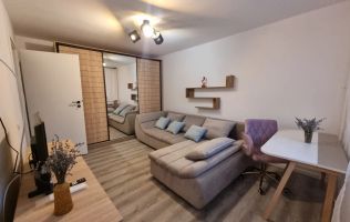 Apartament cochet cu doua camere, Titulescu-Victoriei