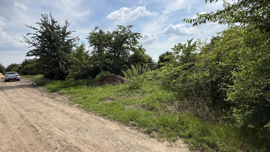 Teren intravilan 498,02 mp langa pădure , strada privata Corbeanca - Poză 12