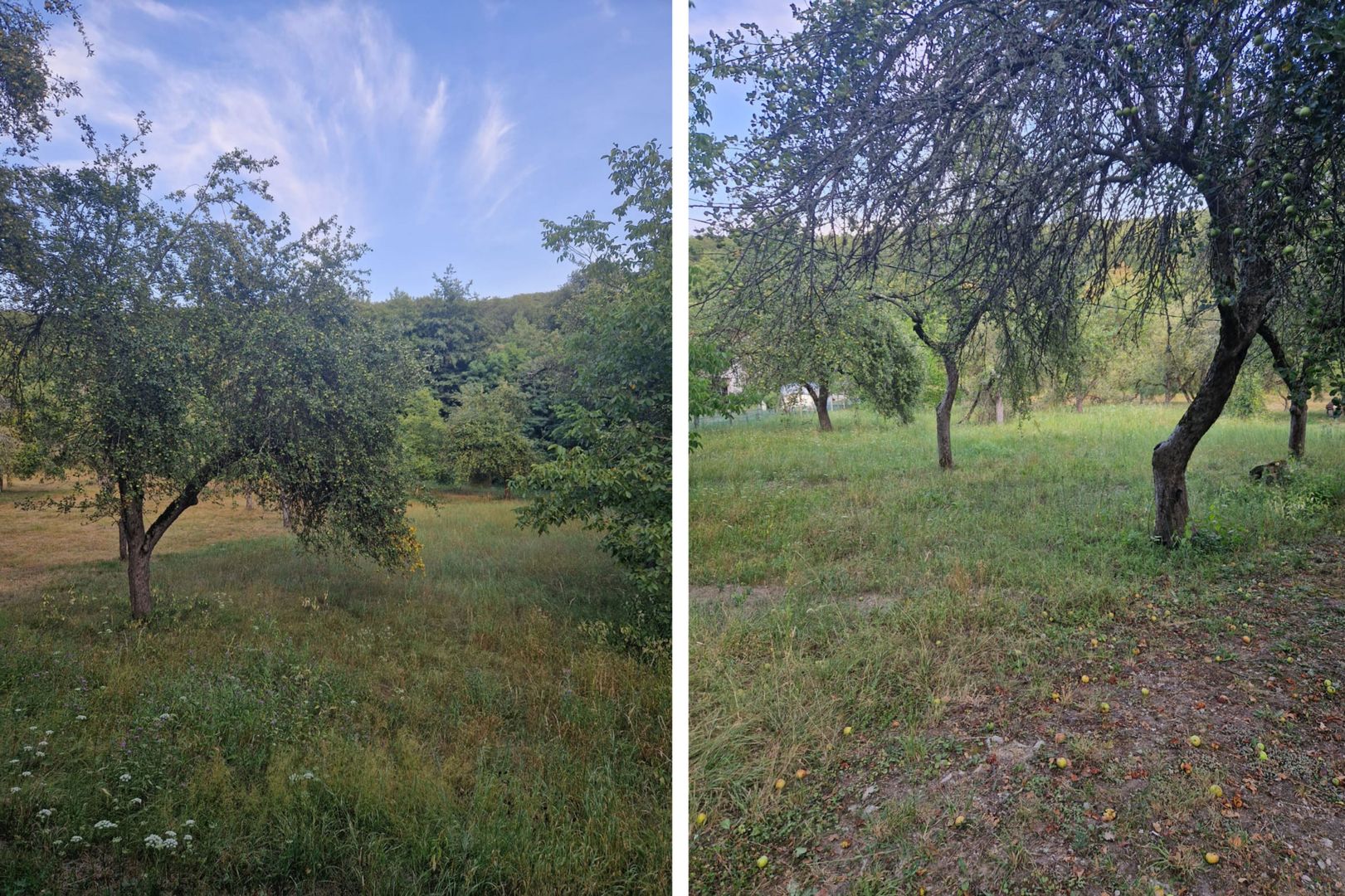 Teren de vacanță 5600 mp cu cabană, Utilitaiile Căsoaia jud Arad - Poză 5