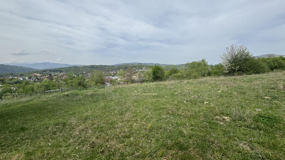 TEREN INTRAVILAN, 7472 MP, VALEA MARE PRAVAT, ARGES - Poză 12