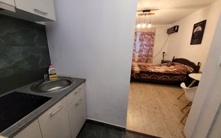 Garsoniera de inchiriat, Vasile Aaron - Poză 12