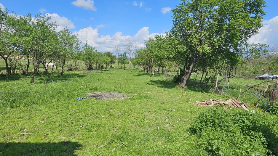 Casa la tara in Rogoz, Bihor, teren 1427 mp, acces auto - Vanzare - Poză 7