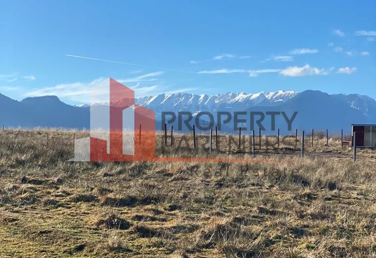 Teren Sohodol 10.000 mp - Poză 6