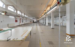 De vânzare Hală 1450mp producti industrial 15000mp teren Călan Jud. Hd - Poză 7