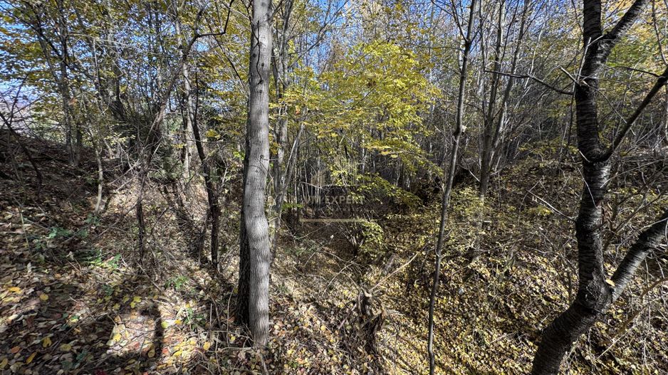 TEREN INTRAVILAN 13167 MP BUGHEA DE SUS ARGES - Poză 25