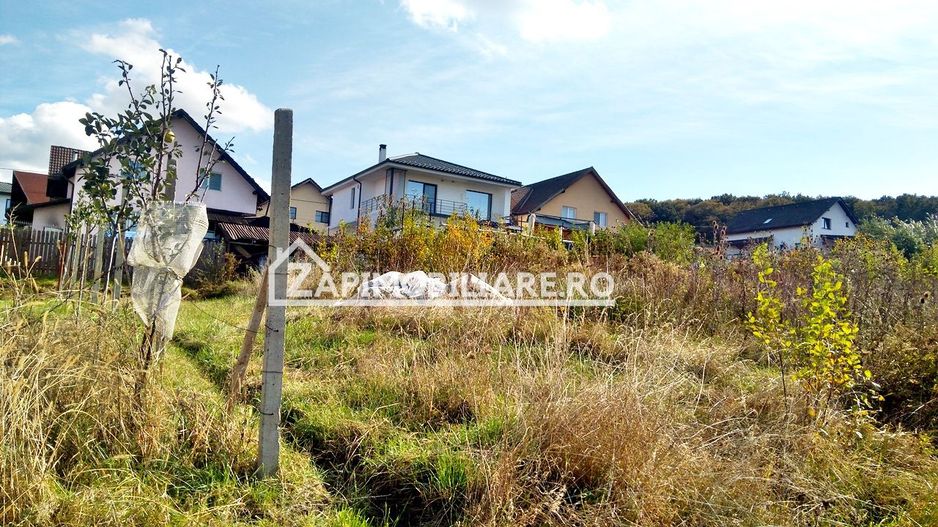 10 parcele teren intravilan intre 450 mp, și 617 mp  Corunca - Poză 2