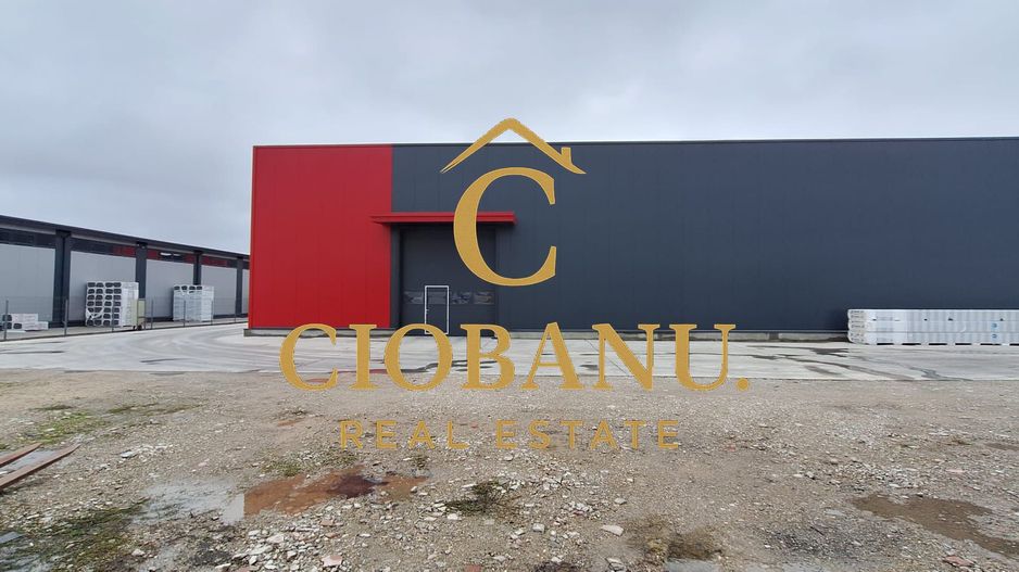 Hale industriale+Cladire de Birouri de inchiriat zona Aeroport - Poză 3
