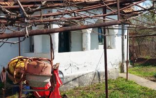 Casă cu hală industrială Drăguțești - Poză 4