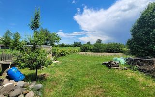 Teren cu vie și livadă, 5442 mp, Contesti (Valea Seaca), Iasi - Poză 4