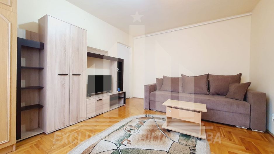 Apartament cu 1 camera de inchiriat, etajul 2, Cetate - Poză 4