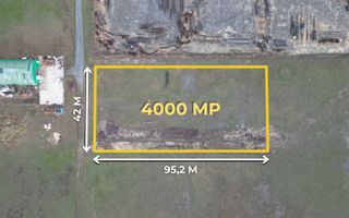 Teren industrial 4.000 mp, parcelabil, POT 80% I Săcălaz - Poză 2