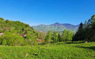 Teren extravilan de vanzare, Bistrita Bargaului- 10 minute de Colibita - Poză 19