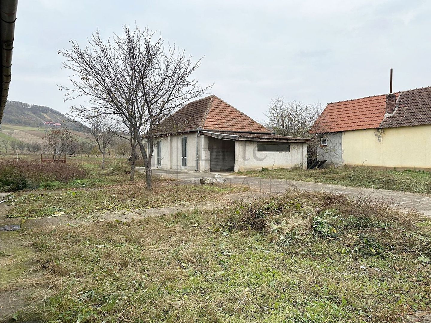 Casa cu 3 Hale si teren 8000 mp in Ulileacu de Cris, Bihor - Poză 9