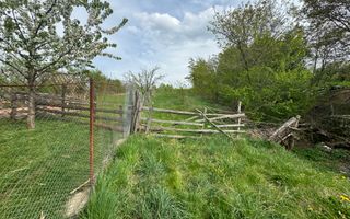 TEREN INTRAVILAN, 7472 MP, VALEA MARE PRAVAT, ARGES - Poză 13