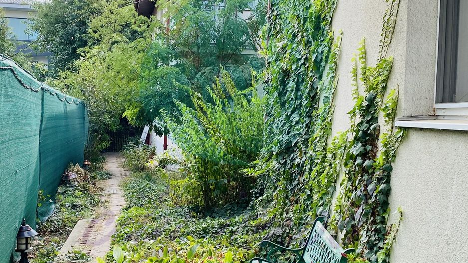 2 VILE CU TEREN DE 811 MP - Poză 9