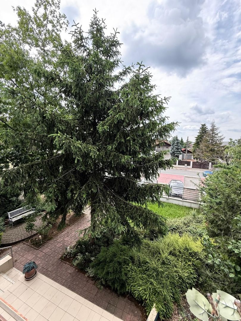 Vila/Spatiu comercial Bd Pipera - Poză 4