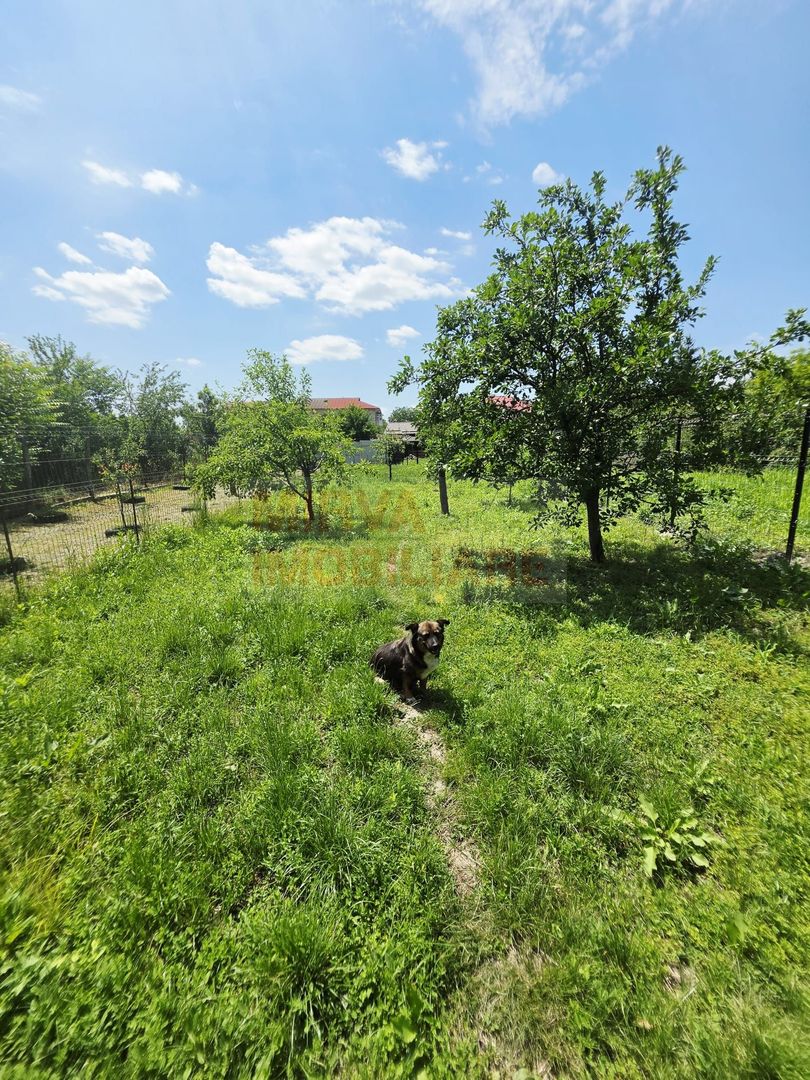 Casa cu teren de 536 mp in Ceptura de Jos - Poză 7