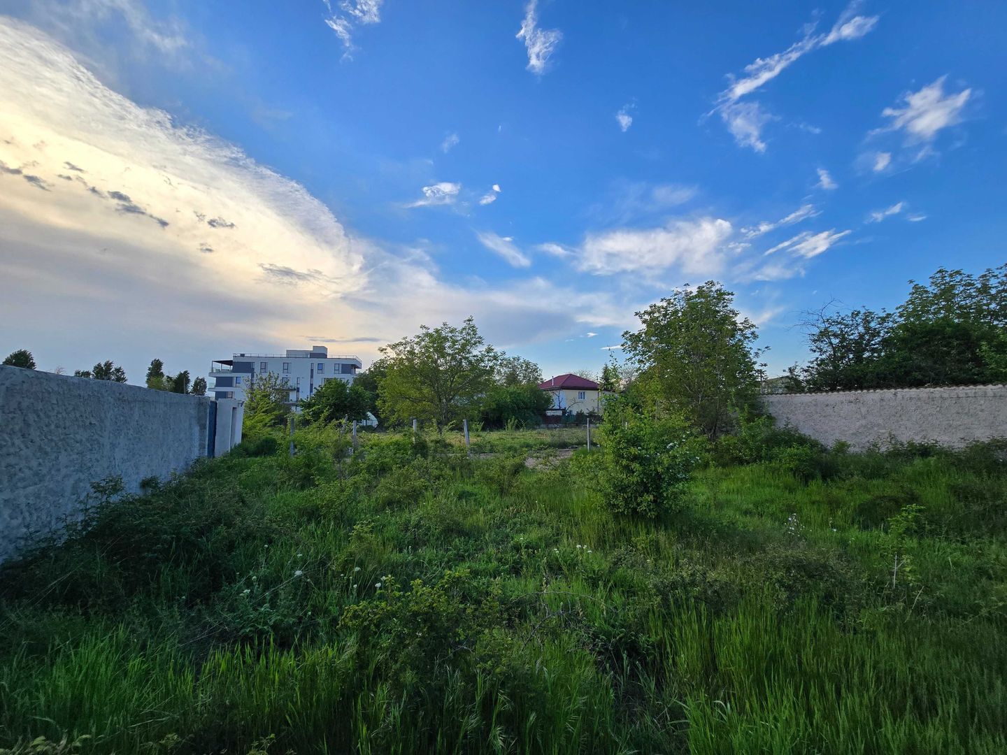 Ghidigeni - Dantelei - Poză 5