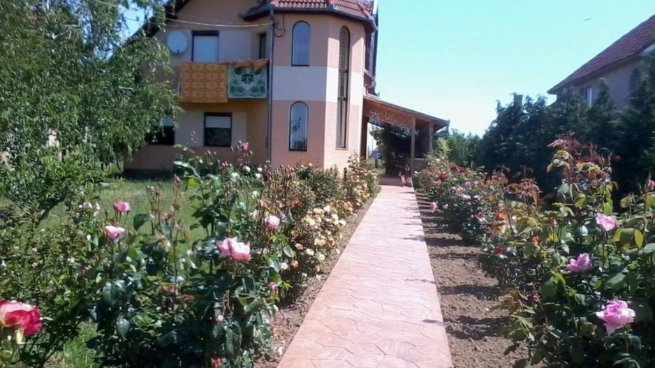 Casă 2 familii / firmă + livadă Satu Mare - Cionchești - Poză 1