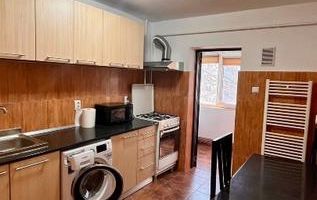 # Apartament cu o camera Pet friendly - Poză 2