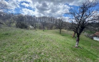 TEREN INTRAVILAN 4365 MP POENARII DE MUȘCEL  JUDEȚUL ARGES - Poză 11