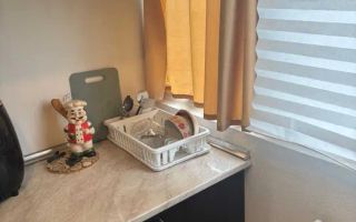 Apartament 2 camere Dristor Pet Friendly - Poză 3