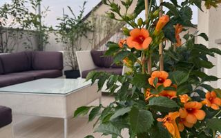 De vanzare Penthouse spectaculos Apartament 3 camere, Timpuri Noi - Poză 29