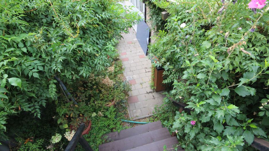 Ideala pentru diferite activitati - Poză 23