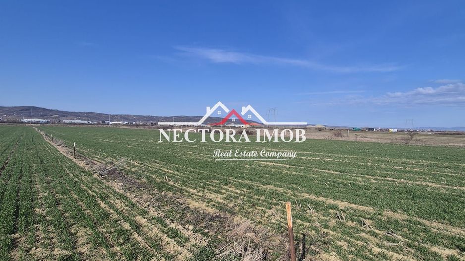 NECTORA IMOB-Teren Intravilan 537 mp, Zona Solay, 250 m de asfalt - Poză 2