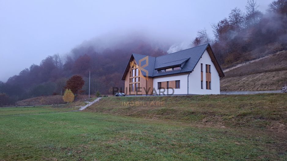 Proprietate cu potențial turistic în zona montană a Țării Lăpușului - Poză 38