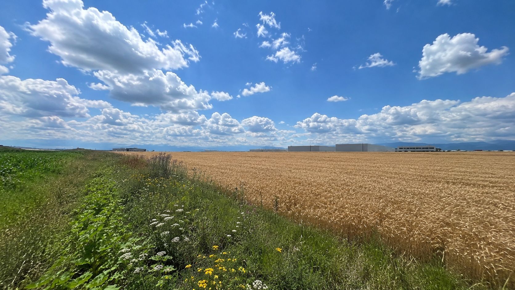Teren intravilan 38.676 mp | 10 parcele | Zona de Vest - Poză 3