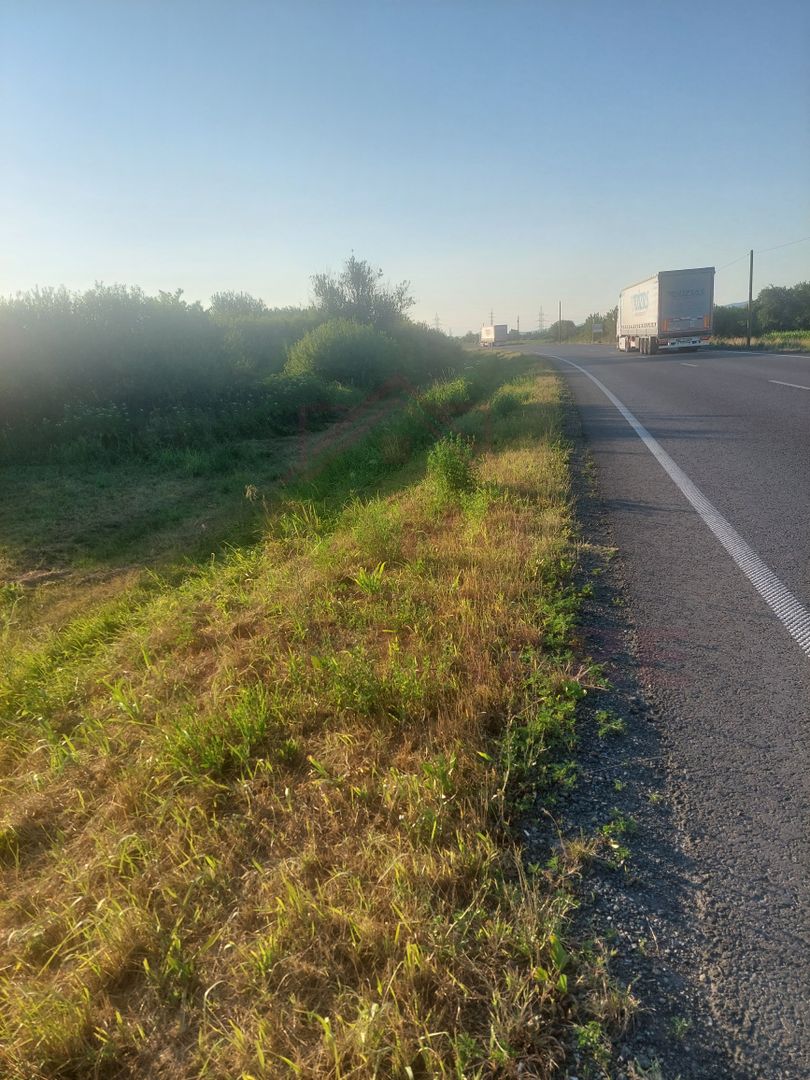 TEREN DE VÂNZARE-32480 mp CARANSEBEȘ JUD.CS,  0% COMISION - Poză 5