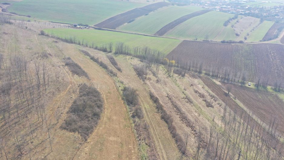 Teren intravilan in Ciugud - Poză 1