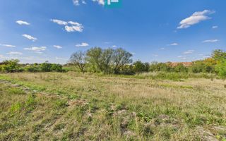 Teren intravilan 6115mp pentru investiții Firiteaz - Poză 2